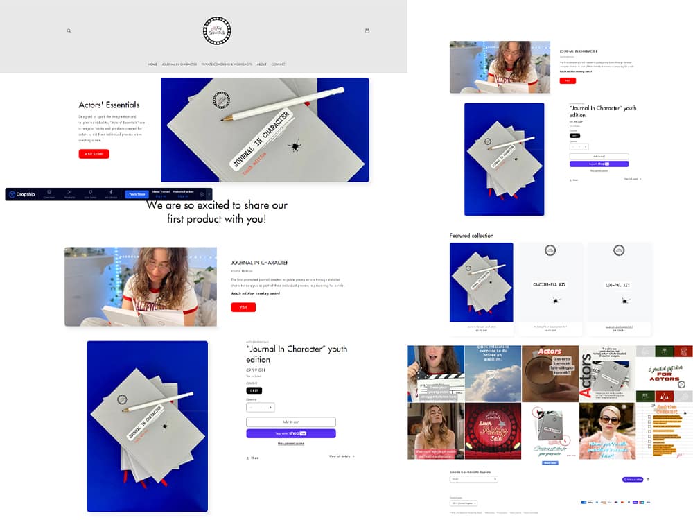 Get a really profitable shopify dropshipping store books